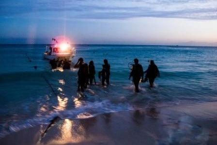 SDI Night Diver Specialty Certification