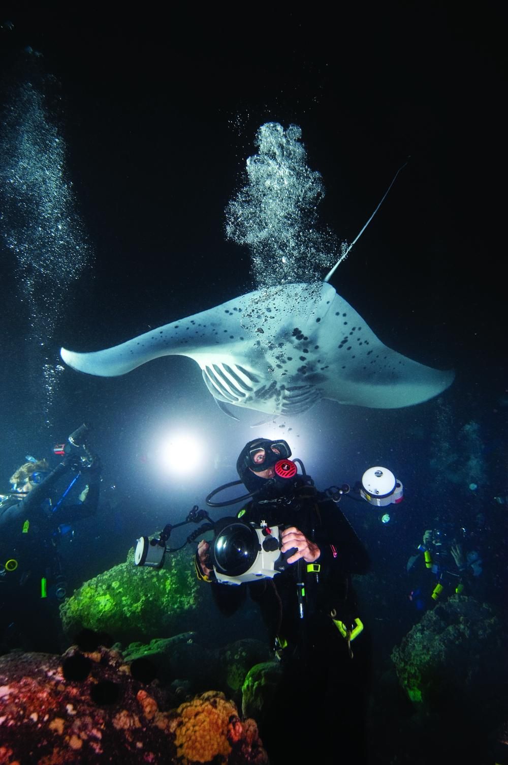 SDI Night Diver Specialty Certification
