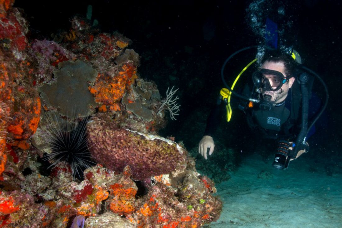SDI Night Diver Specialty Certification