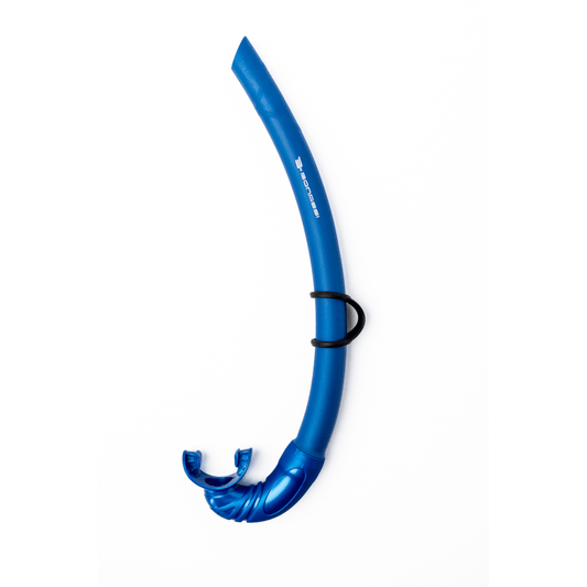 Bahamas Snorkel